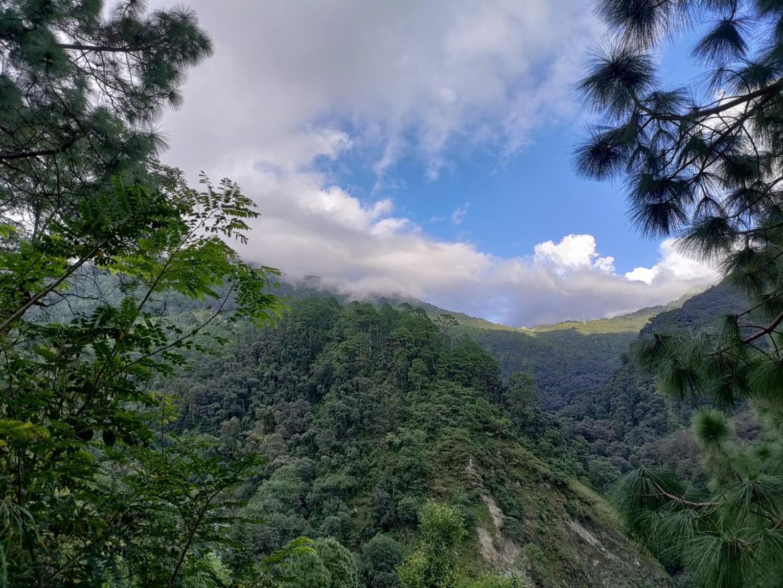 Valley View Camps &Cottages Nature Heights Nainital Exterior foto